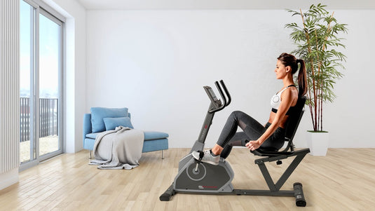 BICI CAMERA BRX RECUMBENT 65 COMFORT