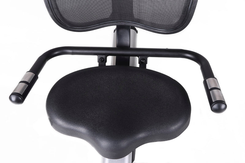 Carica immagine in Galleria Viewer, BICI CAMERA BRX RECUMBENT 300 ERGO