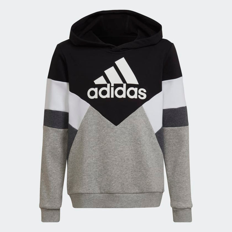 Carica immagine in Galleria Viewer, FELPA CON CAPPUCCIO COLORBLOCK FLEECE
