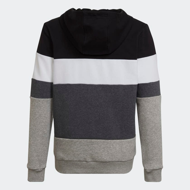 Carica immagine in Galleria Viewer, FELPA CON CAPPUCCIO COLORBLOCK FLEECE