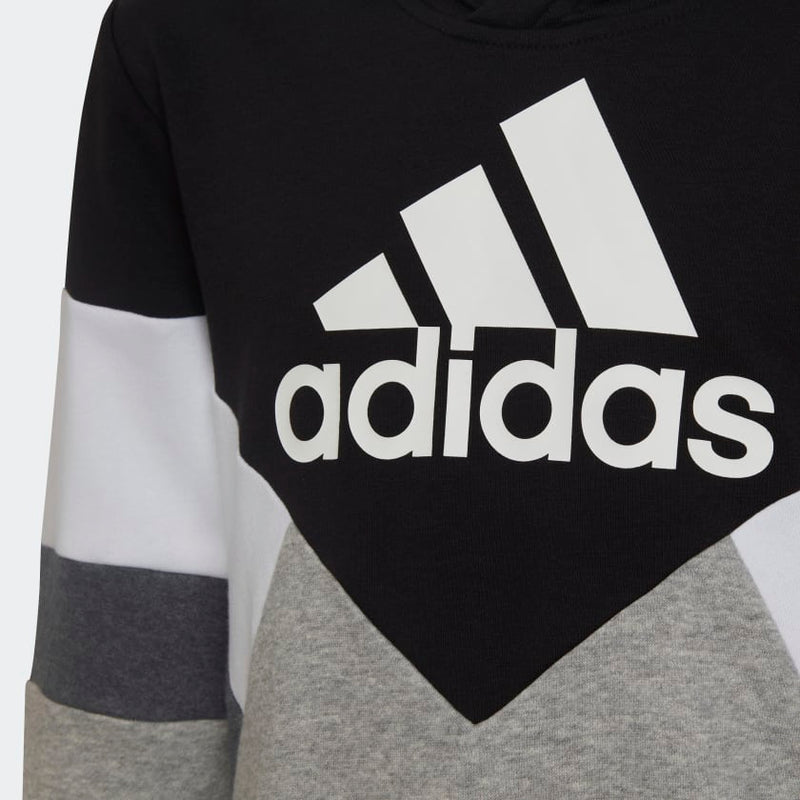 Carica immagine in Galleria Viewer, FELPA CON CAPPUCCIO COLORBLOCK FLEECE