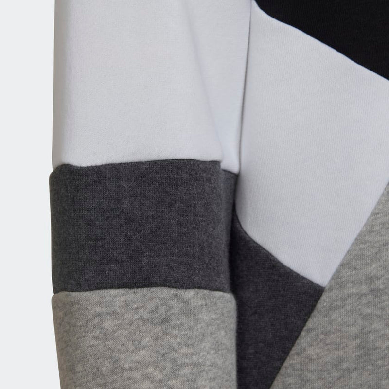 Carica immagine in Galleria Viewer, FELPA CON CAPPUCCIO COLORBLOCK FLEECE