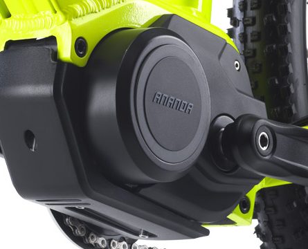 Carica immagine in Galleria Viewer, E-Bike ASTER MTB 29" di World Dimension MTB con Pedalata Assistita (USATA, pochissimi km)!