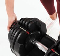 Manubri SelectTech Bowflex 1090i