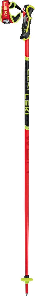 BASTONCINI SCI WCR TBS SL 3D