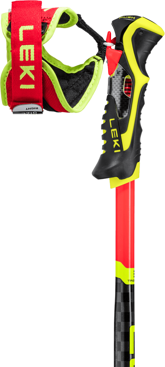 BASTONCINI SCI WCR TBS SL 3D