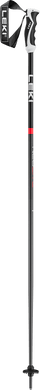 BASTONCINI SCI NEOLITE