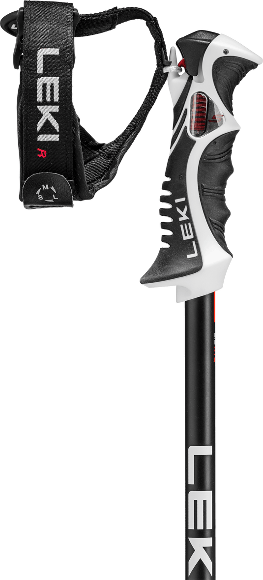 bastoncini sci Bold Lite S