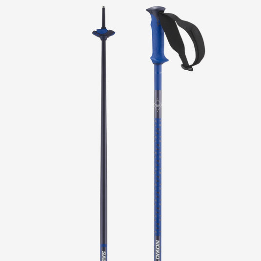 BASTONCINI POLAR PRO