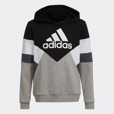 FELPA CON CAPPUCCIO COLORBLOCK FLEECE