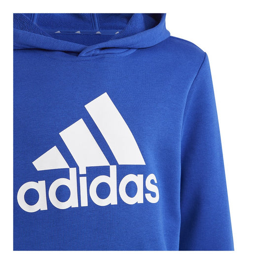 Felpa con cappuccio BIG LOGO JR