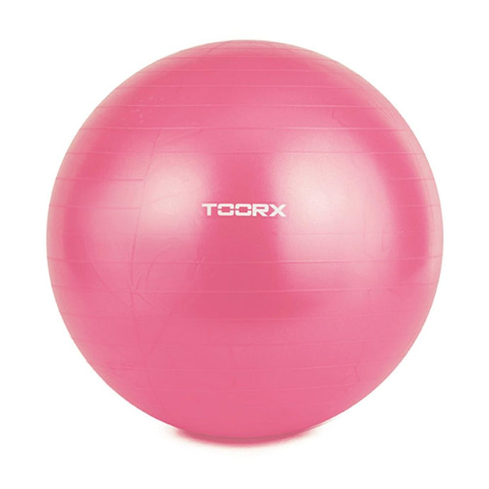 TOORX gym ball diam. 55